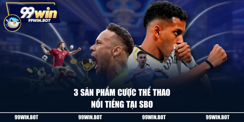 SBO Sport - Top 1 Nền Tảng Cá Cược Uy Tín Nhất Châu Á 2 3 sản phẩm cược thể thao nổi tiếng tại SBO