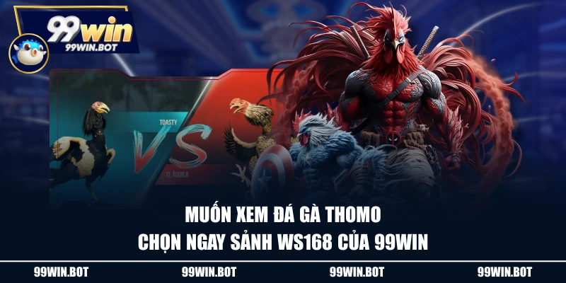 Review Sảnh Đá Gà WS168 Tại Nhà Cái Trực Tuyến 99WIN 1 Muốn xem đá gà Thomo chọn ngay sảnh WS168 của 99WIN