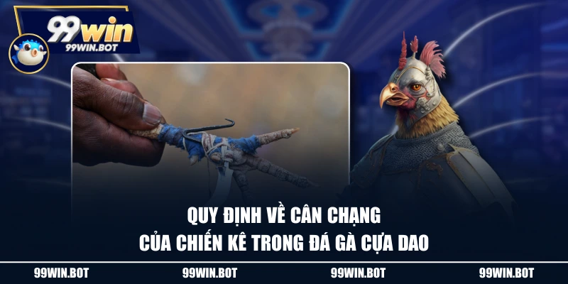 Đá Gà Cựa Dao Và Những Kiến Thức Cơ Bản Dành Cho Tân Thủ 2 Quy định về cân chạng của chiến kê trong đá gà cựa dao